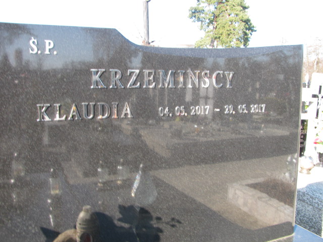 Józefa Karpińska 1872 Biała Rawska - Grobonet - Wyszukiwarka osób pochowanych